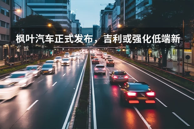枫叶汽车正式发布，吉利或强化低端新能源市场 吉利RADAR品牌新车预告图 首推四门新能源皮卡/或年内交付