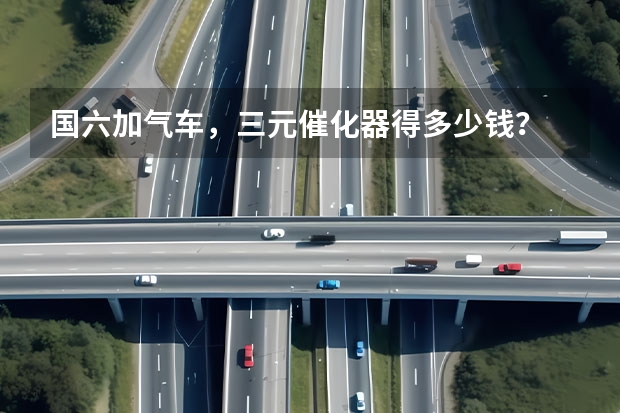 国六加气车，三元催化器得多少钱？