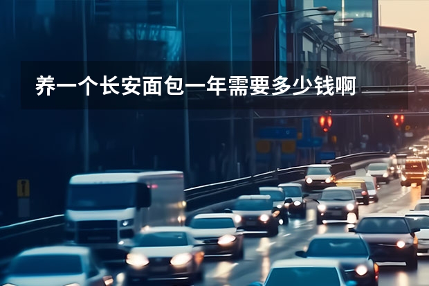 养一个长安面包一年需要多少钱啊