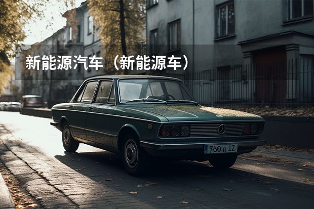 新能源汽车（新能源车....）