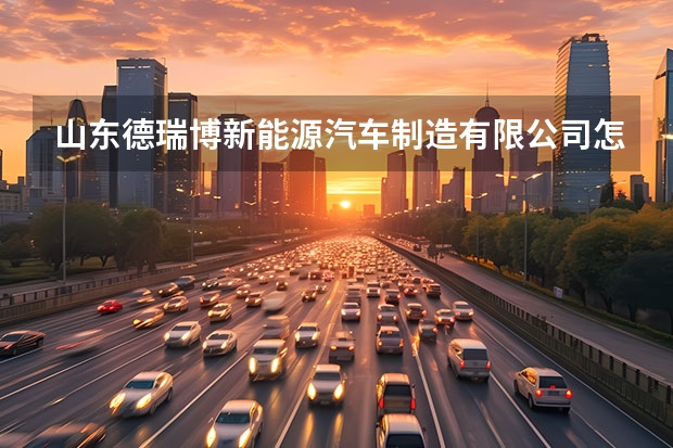 山东德瑞博新能源汽车制造有限公司怎么样？