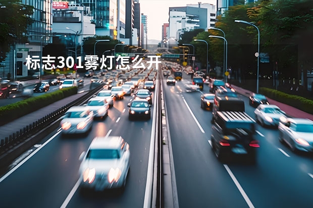 标志301雾灯怎么开