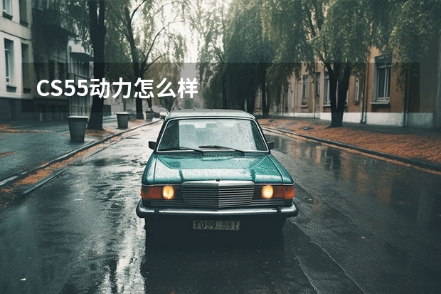 CS55动力怎么样