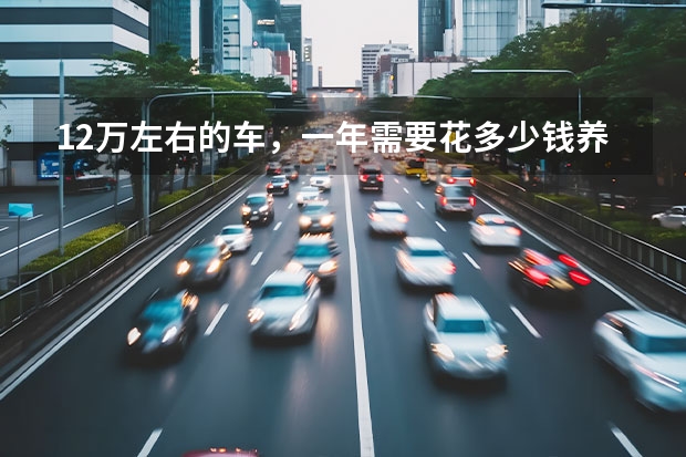 12万左右的车，一年需要花多少钱养它？