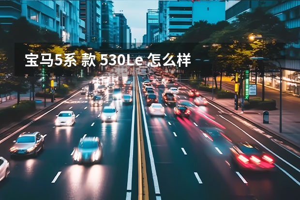 宝马5系 款 530Le 怎么样