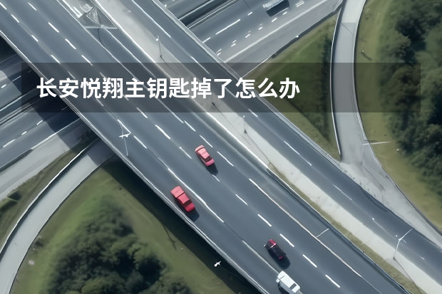 长安悦翔主钥匙掉了怎么办