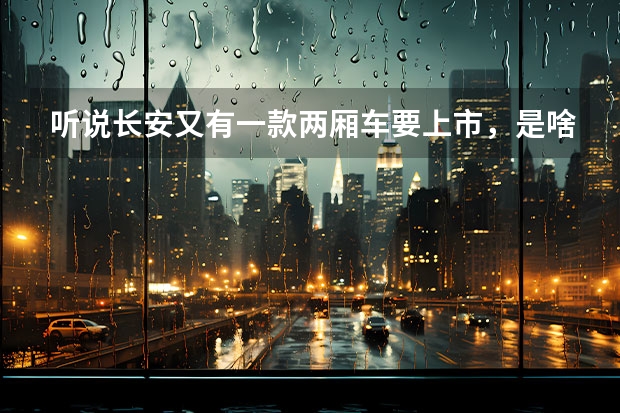 听说长安又有一款两厢车要上市，是啥样的啊？（我的长安6345B面包车14700公里开始烧机油了）