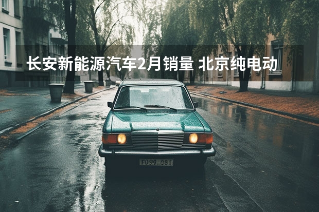 长安新能源汽车2月销量 北京纯电动车销量笑傲全国 谁是纯电小车技术之王