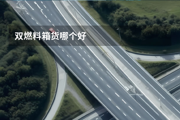 双燃料箱货哪个好.