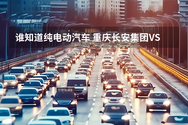 谁知道纯电动汽车 重庆长安集团VS重庆长安新能源汽车公司