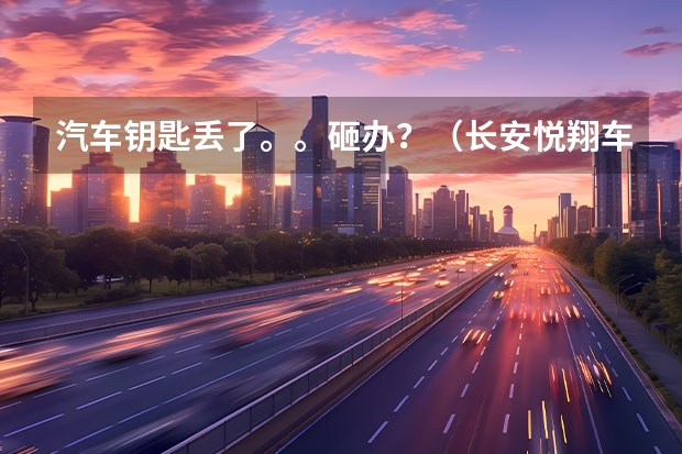 汽车钥匙丢了。。砸办？（长安悦翔车的生产商应提供汽车钥匙丢失了的匹配服务。不然就是误导消费者。）