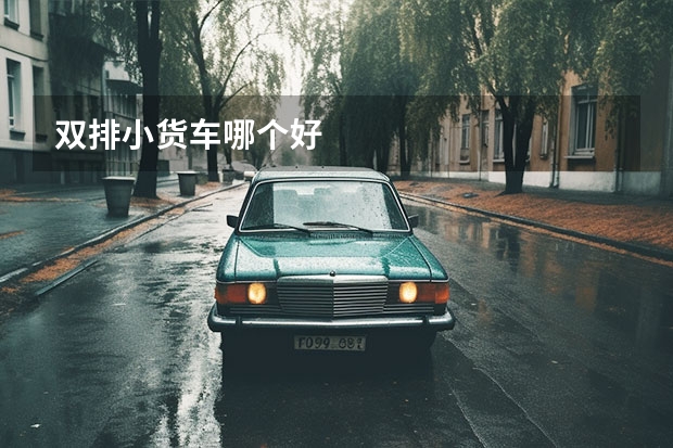 双排小货车哪个好