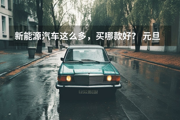 新能源汽车这么多，买哪款好？ 元旦以后免购置税的车型
