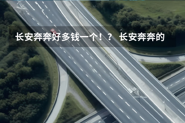 长安奔奔好多钱一个！？ 长安奔奔的问题