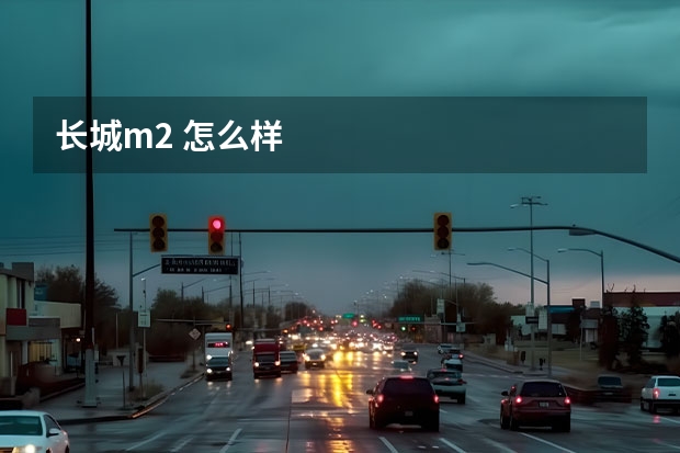 长城m2 怎么样