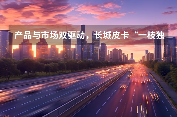 产品与市场双驱动，长城皮卡“一枝独秀”（郑州官宣皮卡解禁新政长城炮以品类创新助推皮卡市场扩容）
