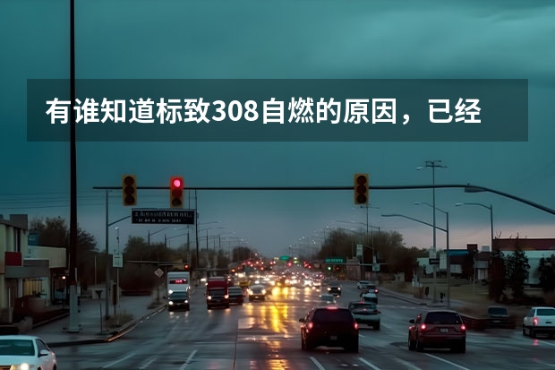 有谁知道标致308自燃的原因，已经有好几起自燃案例，我都有点担心自己的308（中兴U210手机发生自燃现象我要求赔偿~）
