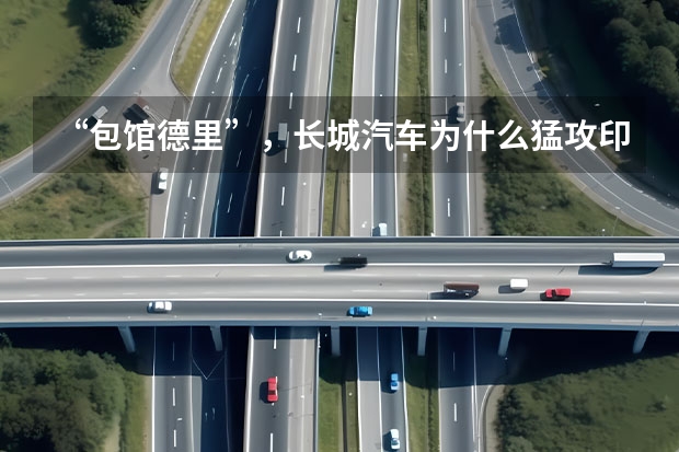 “包馆德里”，长城汽车为什么猛攻印度？