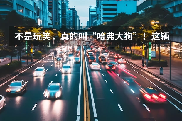 不是玩笑，真的叫“哈弗大狗”！这辆哈弗全新SUV你会买吗？
