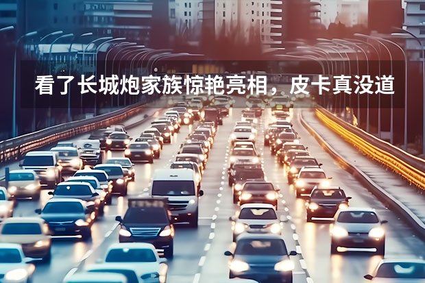 看了长城炮家族惊艳亮相，皮卡真没道理不流行 长城和奇瑞 汽车主要情况？