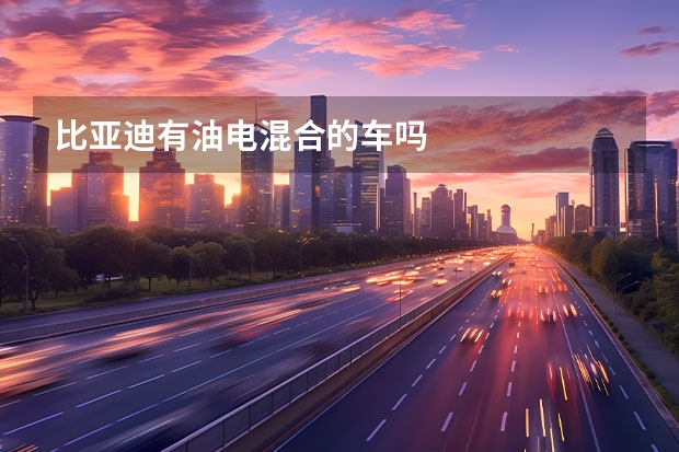 比亚迪有油电混合的车吗