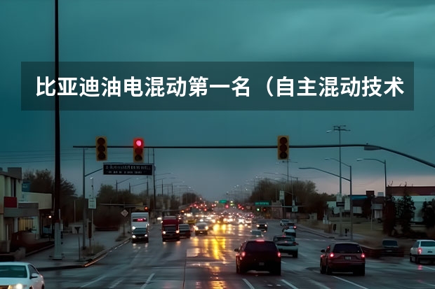 比亚迪油电混动第一名（自主混动技术新标杆？浅谈比亚迪DM-i技术）