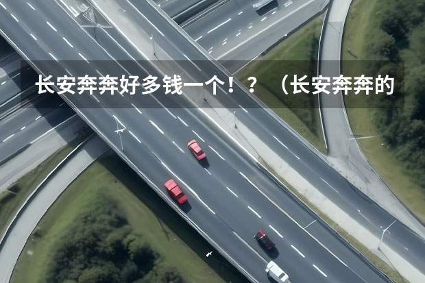 长安奔奔好多钱一个！？（长安奔奔的问题）