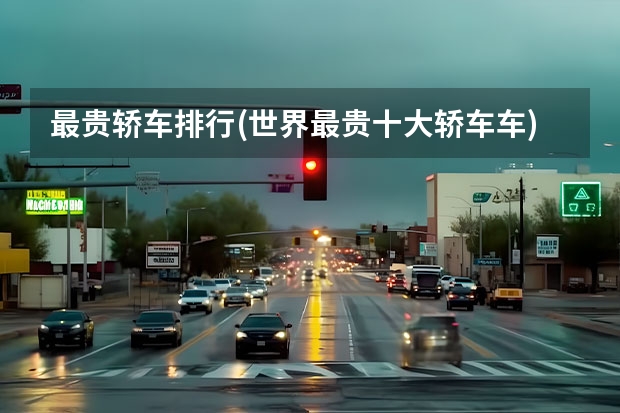 最贵轿车排行(世界最贵十大轿车车) 最贵的国产电动车排行榜前十名?