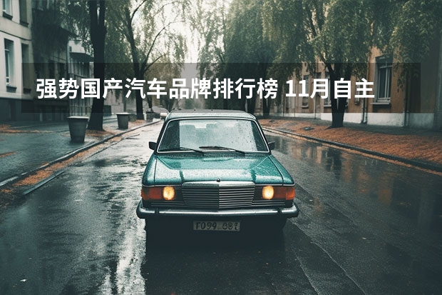 强势国产汽车品牌排行榜 11月自主汽车品牌销量排行榜：车市回暖销量普涨，马太效应加剧