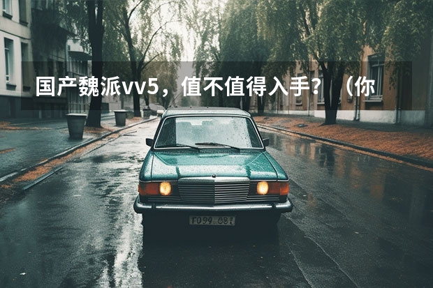 国产魏派vv5,值不值得入手?(你觉得是一汽丰田的车质量好还是广汽丰田的车质量好?)