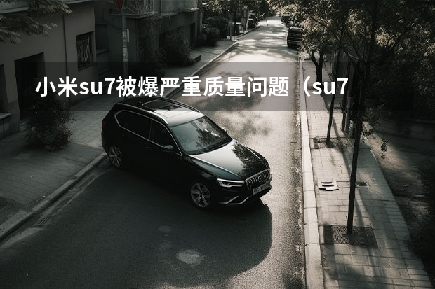 小米su7被爆严重质量问题（su7小米参数详解）