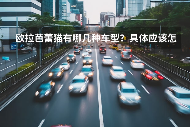 欧拉芭蕾猫有哪几种车型？具体应该怎么选呢？