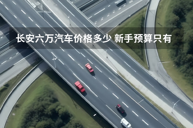 长安六万汽车价格多少 新手预算只有6万，是买二手车合算还是国产车合算？