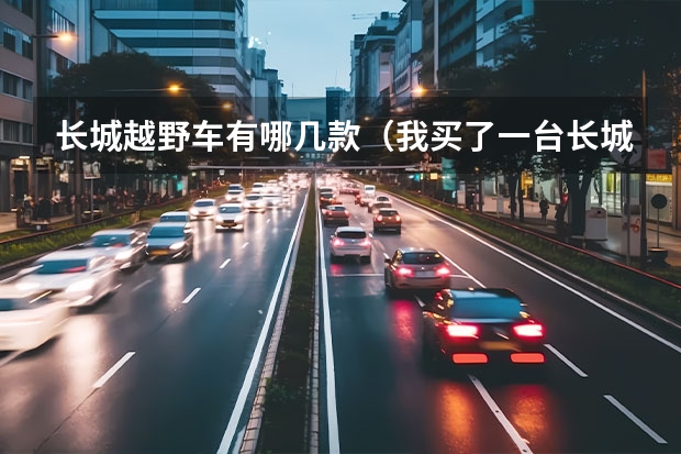 长城越野车有哪几款（我买了一台长城哈弗H6越野车，想把车利用起来赚点钱，不知各位有什麽好的建议）