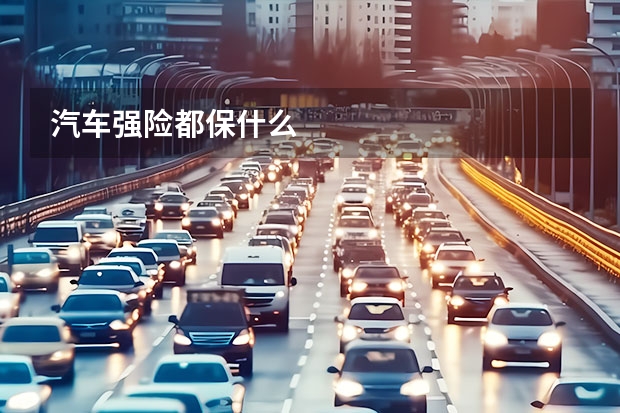 汽车强险都保什么