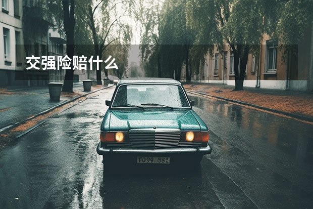 交强险赔什么