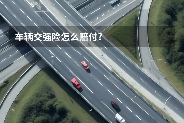 车辆交强险怎么赔付?