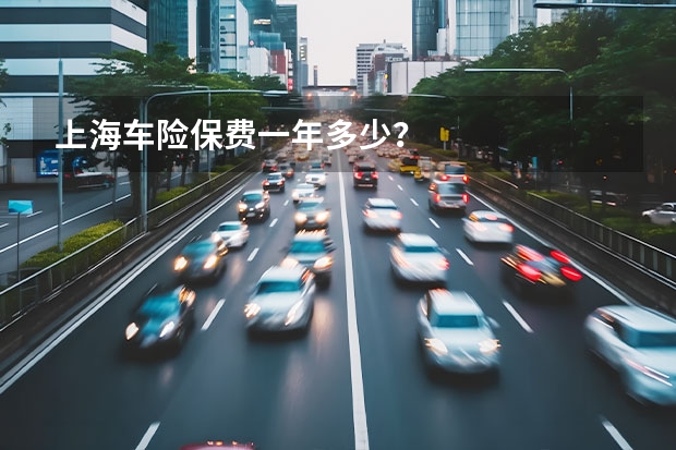 上海车险保费一年多少？