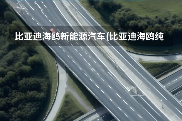 比亚迪海鸥新能源汽车(比亚迪海鸥纯电动微型轿车) 小巧灵活，好停车的三款纯电动微型车