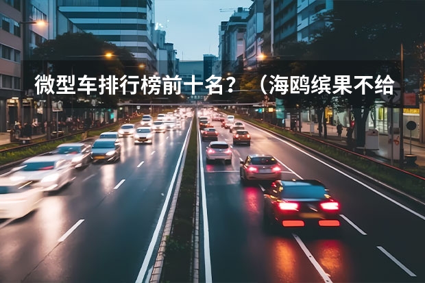 微型车排行榜前十名？（海鸥/缤果不给燃油车活路？我看未必，飞度和POLO有话说）