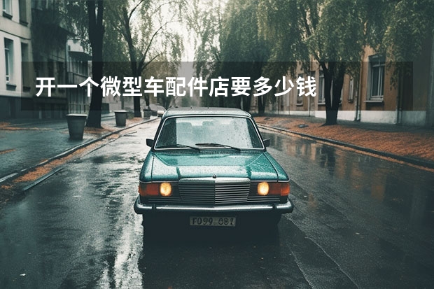 开一个微型车配件店要多少钱