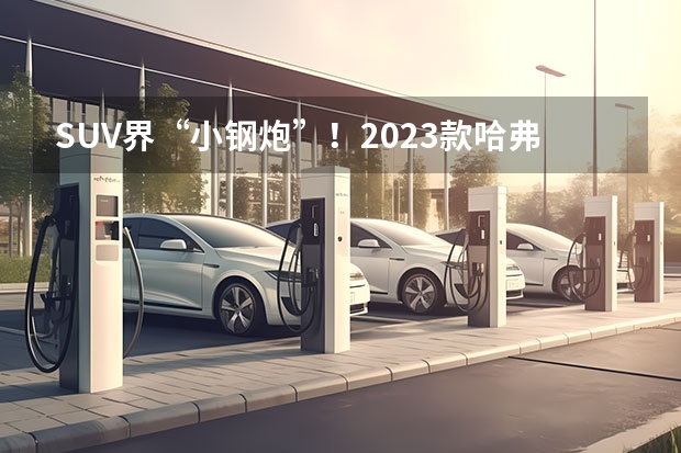 SUV界“小钢炮”！2023款哈弗赤兔竞争力如何?