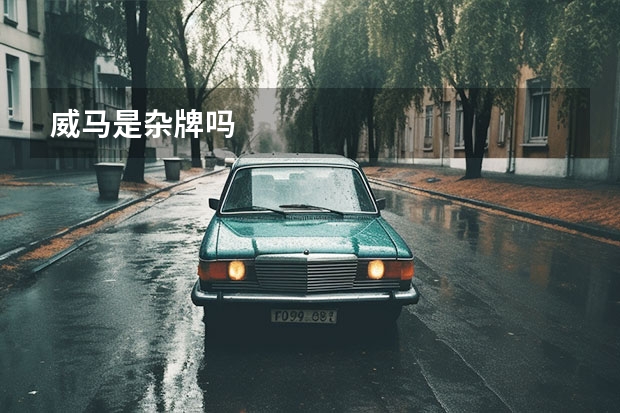 威马是杂牌吗