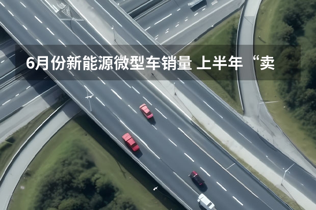 6月份新能源微型车销量 上半年“卖爆”的10款车：个个都是销量王，比亚迪独占5款