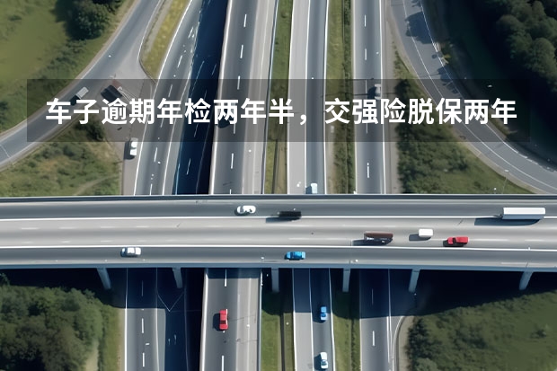 车子逾期年检两年半，交强险脱保两年半。该怎么购买交强险和年检？