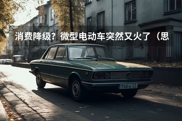 消费降级？微型电动车突然又火了（思皓新能源赵久志：电动化为A00级带来新机会 | 汽车产经）