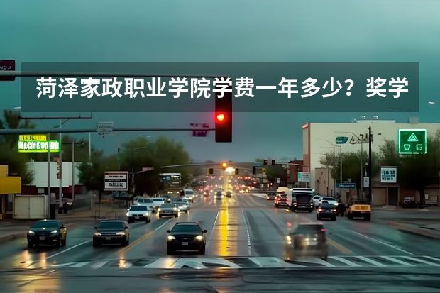 菏泽家政职业学院学费一年多少？奖学金介绍