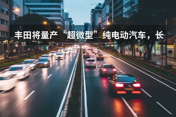 丰田将量产“超微型”纯电动汽车，长2.5米，宽1.3米（代步买菜小能手 盘点四款微型电动车）