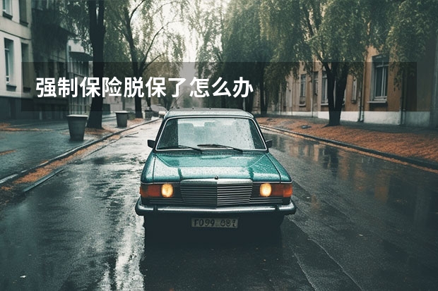 强制保险脱保了怎么办