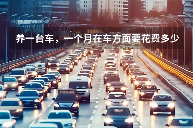 养一台车，一个月在车方面要花费多少钱？